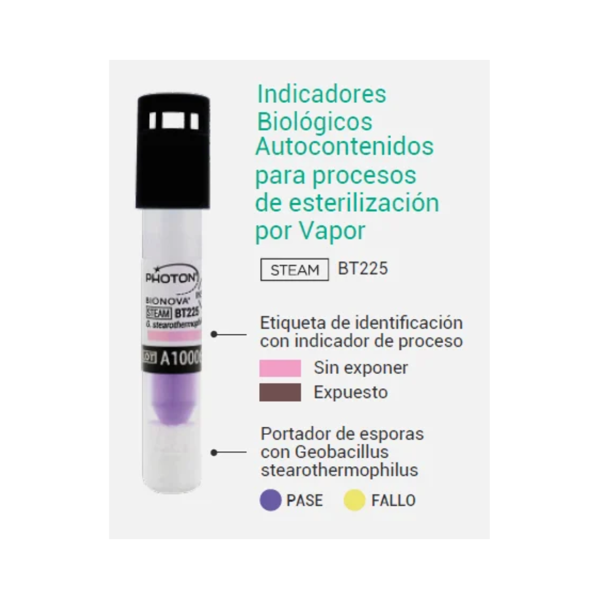 Pruebas Biológicas para Esterilización